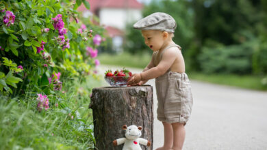 Help your child grow their own strawberries