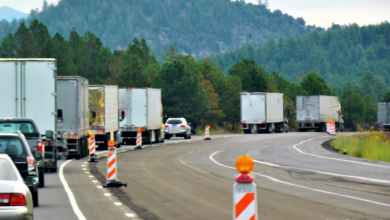 LNN Featured Image_2 (12)