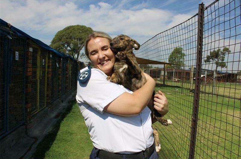 The RandWest SPCA is asking the community to donate USB sticks to help submit crucial video evidence for animal abuse court cases.