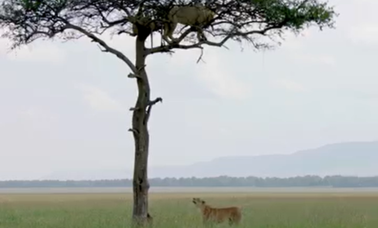 stuck