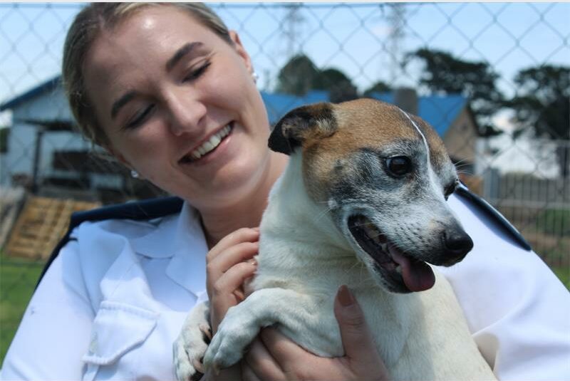 The RandWest SPCA is now appealing to the community for help to complete the final repairs to the roof of their Westonaria branch, which was previously stolen.