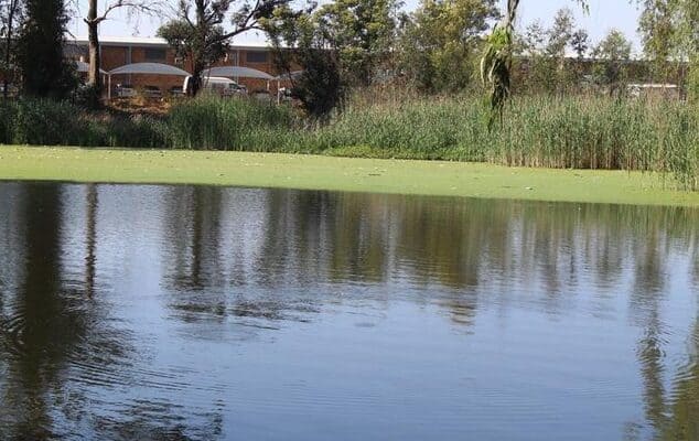 Have your say: The Randfontein community is invited to help shape the future of Riebeeck Lake.