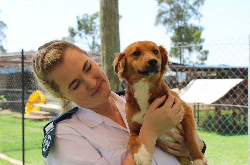 RandWest SPCA shares the harrowing details of what their August looked like, providing insight into the physical and mental impact the cases of animal abuse have on them. WARNING: Some images may disturb sensitive readers.