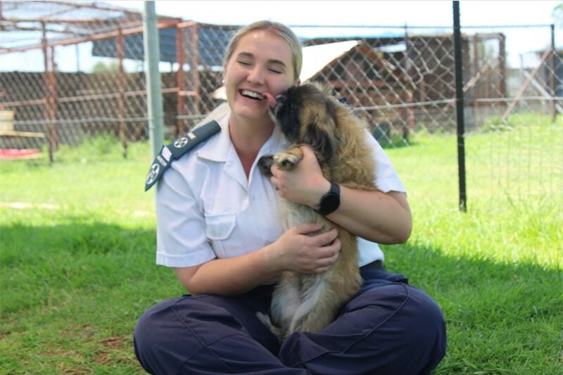 To keep saving animals in need, the SPCA is calling on the community to help get their vital vehicles back on the road.