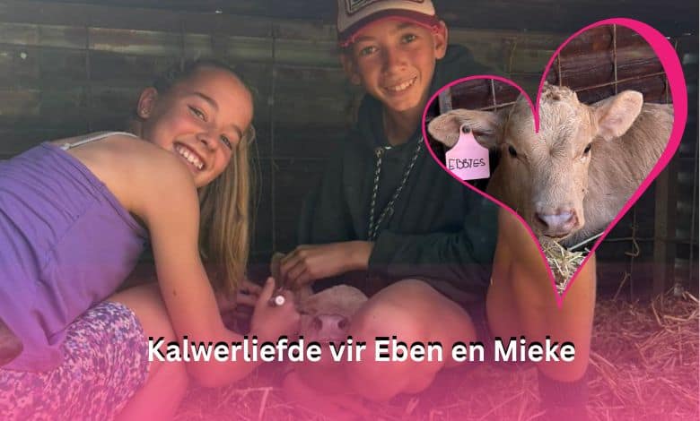 Die hoofdogter van Laerskool Randfontein is op haar 13de verjaarsdag met ’n kalfie verras deur haar kêrel.