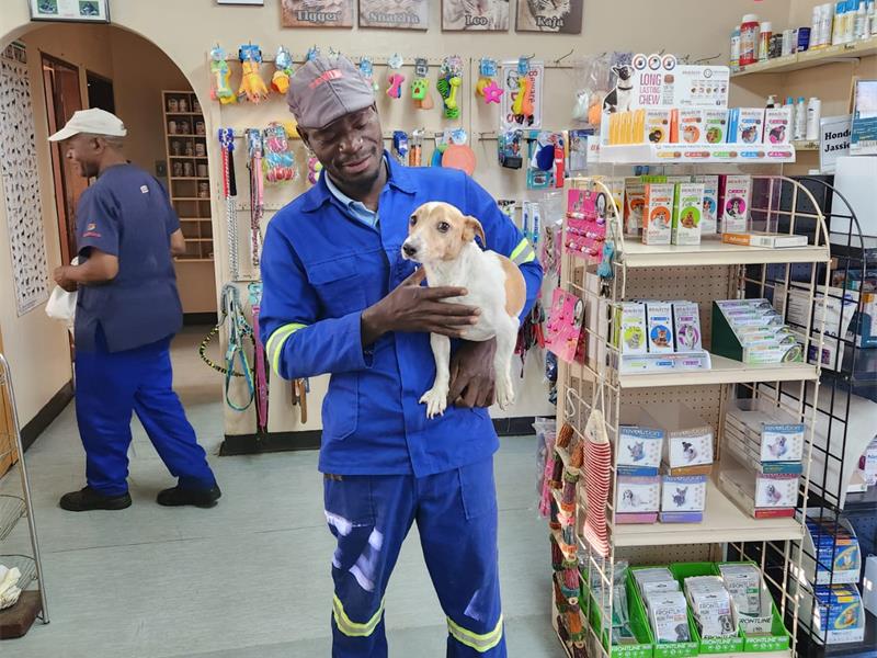 After surviving a brutal dog attack and 10 weeks of treatment, Thomas is finally home with his loving new owner, ready for a fresh start.