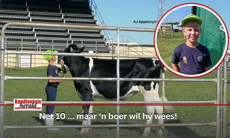 Beeste was-en-versorg is AJ Appelcryn (10) se passie, en hy het dit duidelik gemaak tydens die 2025 Nasionale Jeugskou Kampioenskappe toe hy eerste plek verower.