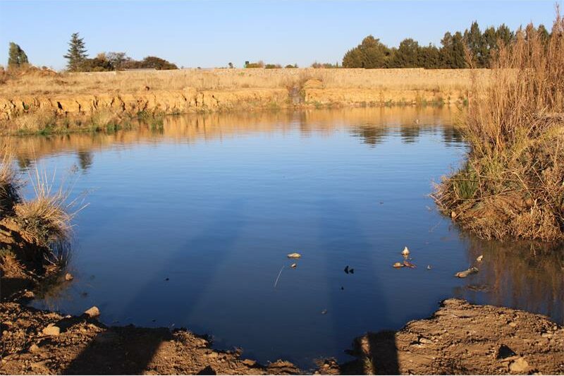 Many residents fear contamination of local drinking water as a sewage pond across from the Dan Tloome Mega City development remains stagnant.