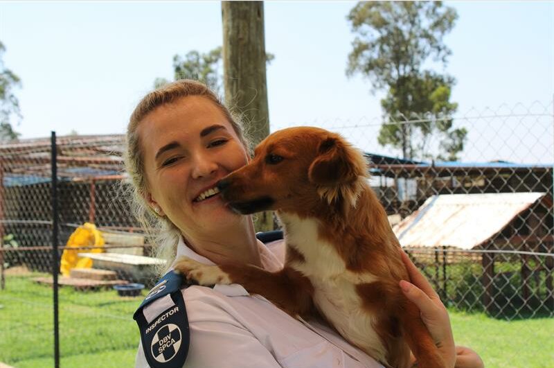 To help raise funds, the RandWest SPCA decided to make their own calendar featuring local pets.