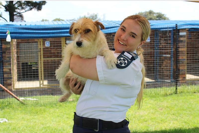 The RandWest SPCA is asking the community to assist with fridge and washing machine repairs to help keep their daily animal care operations running smoothly.