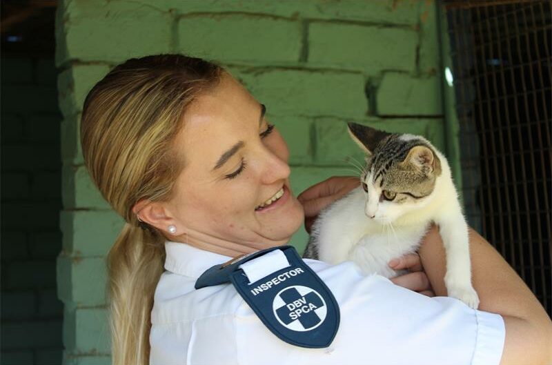 The RandWest SPCA is hosting a Howllooo Dance to support the important work they do in the community.
