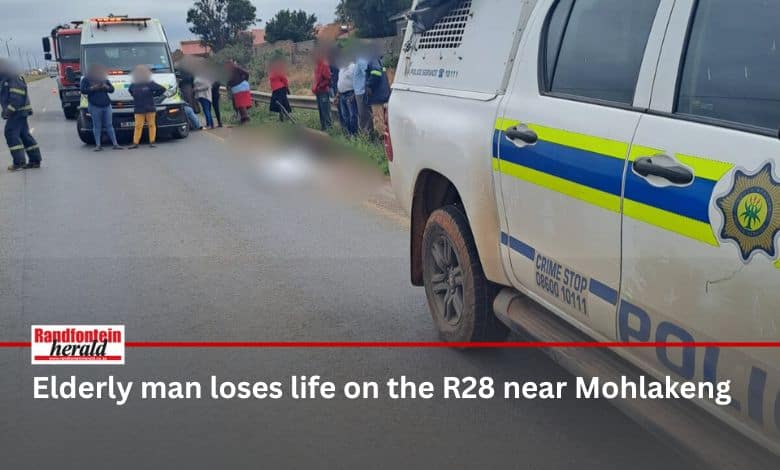 An elderly pedestrian was fatally struck by a truck on the R28 near Mohlakeng on Monday morning.