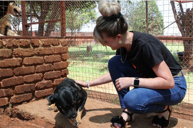 Support No More Tears Animal Rescue this festive season by purchasing their Christmas mugs, bags, and T-shirts – all proceeds go towards caring for rescued animals.