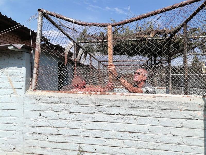 After storms damaged the RandWest SPCA’s Westonaria branch, the community came together to help restore what was lost.