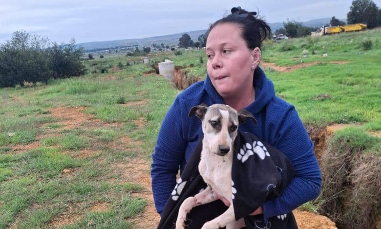 The RandWest SPCA is appealing for information after rescuing a bound dog found dumped in a ditch near the R28.