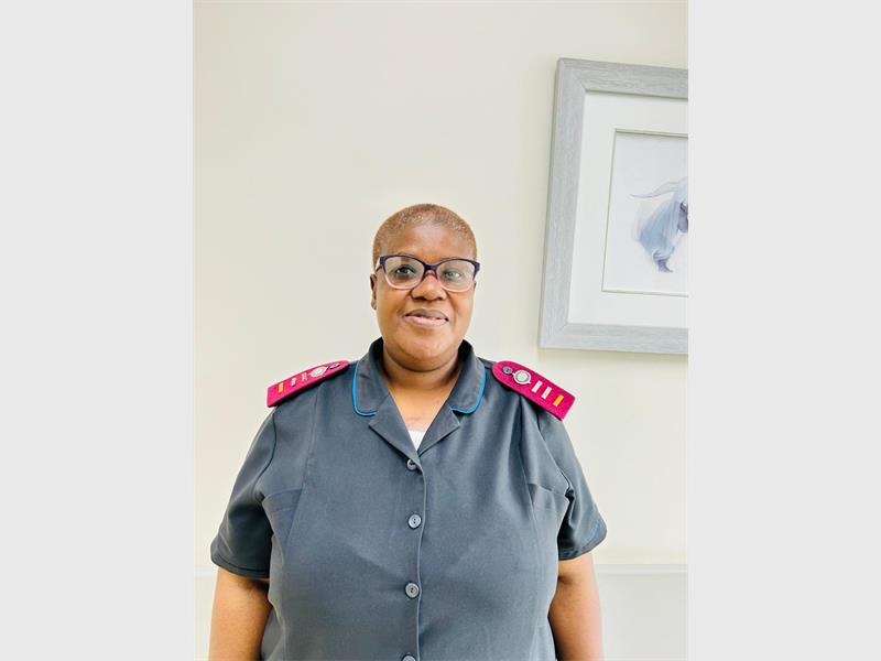 A midwife shares how holiday births bring a festive spirit to the maternity ward.