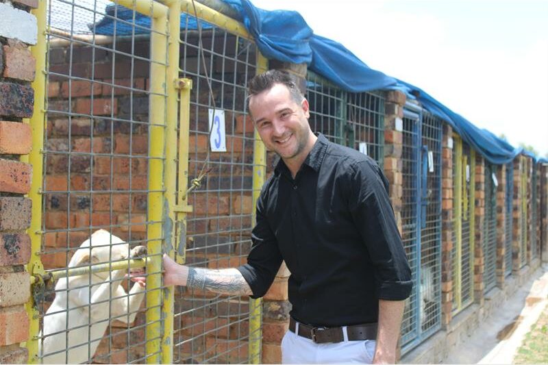 Fireworks and loud celebrations continue to cause distress, injuries and missing pets throughout the year, the RandWest SPCA has warned.