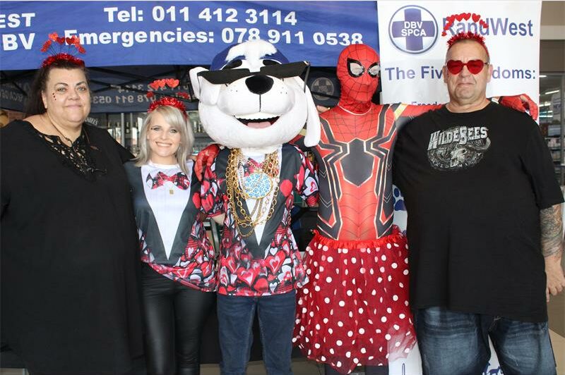 After a surge in animal intakes during December, the RandWest SPCA is appealing to the community for much-needed support.