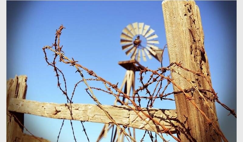 Farmers and officials will meet in Magaliesburg on Saturday as concerns grow over the escalating Foot-and-Mouth Disease crisis threatening livelihoods and food security.