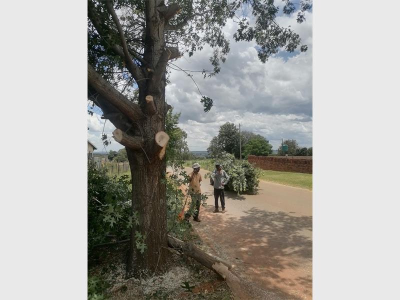 A local men’s forum has stepped up to remove dangerous tree branches and improve road safety in Kocksoord.
