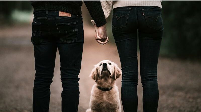 Bring your furry Valentine and celebrate love while supporting animal welfare this Saturday!