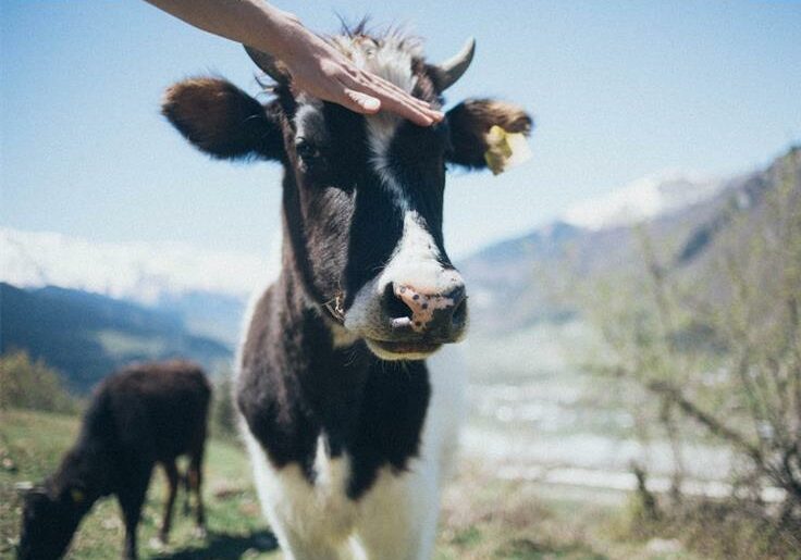 Farmers of the greater West Rand are urged to remain vigilant as South Africa continues to battle outbreaks.