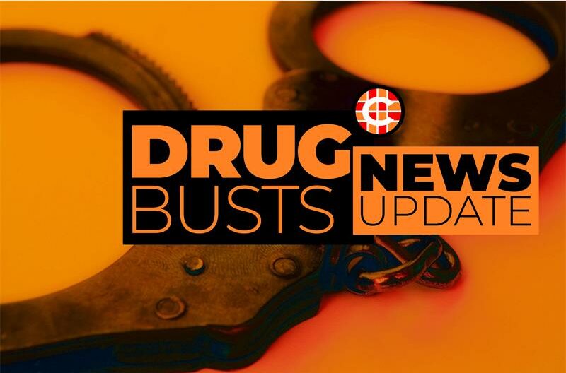 Ten suspects in custody after West Rand Hawks seize high-value narcotics in Ferndale.