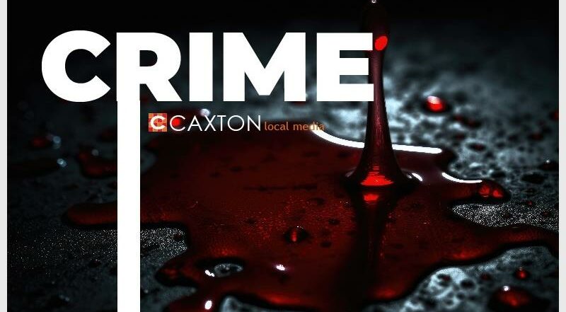 The Gauteng Legislature’s safety committee says the new specialised police units are a critical step in tackling political assassinations, kidnappings and organised crime in the province.