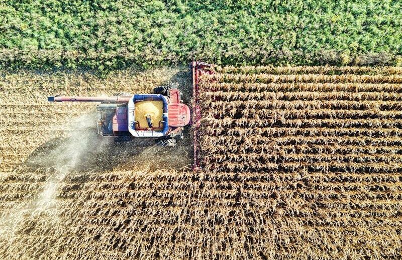 South African farmers have driven the country’s economy forward, with the agriculture sector growing 17.4% in 2025 despite numerous challenges, the Transvaal Agricultural Union of South Africa (TLU SA) stated.