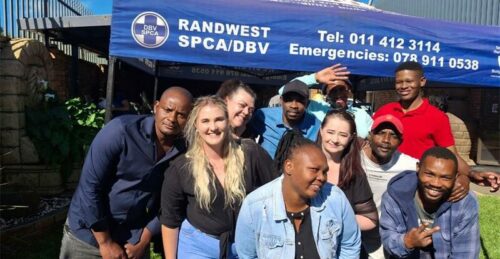 After serving since 2018, Rene van Straten will leave the RandWest SPCA on April 24 to relocate to KZN, leaving behind a strong legacy in animal welfare.