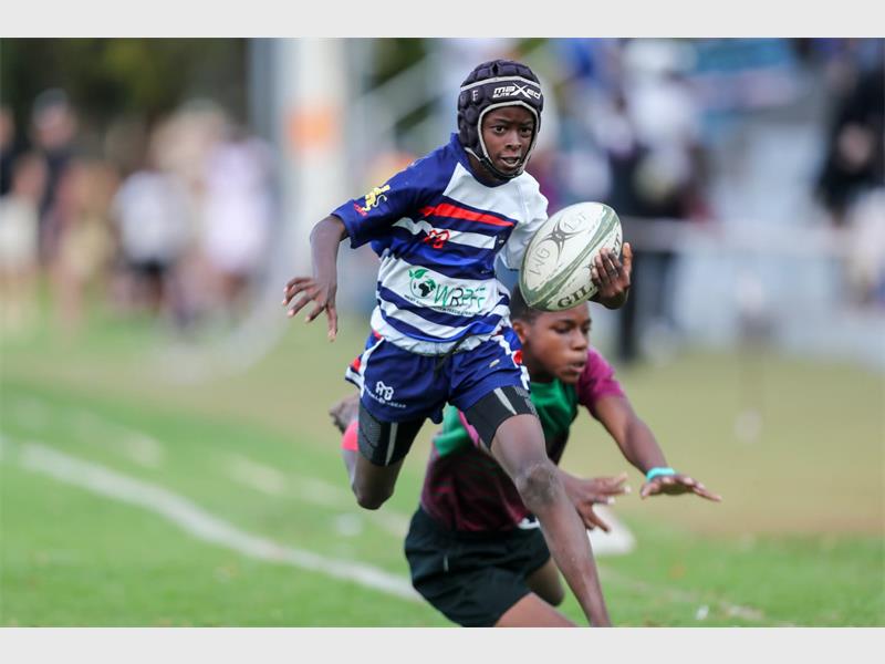 From introducing children of all backgrounds to rugby to guiding players from U8 level, coach Rudolph de Bruyn is shaping both talent and character at Westgold Primary – with nine of his boys already earning Golden Lions colours.