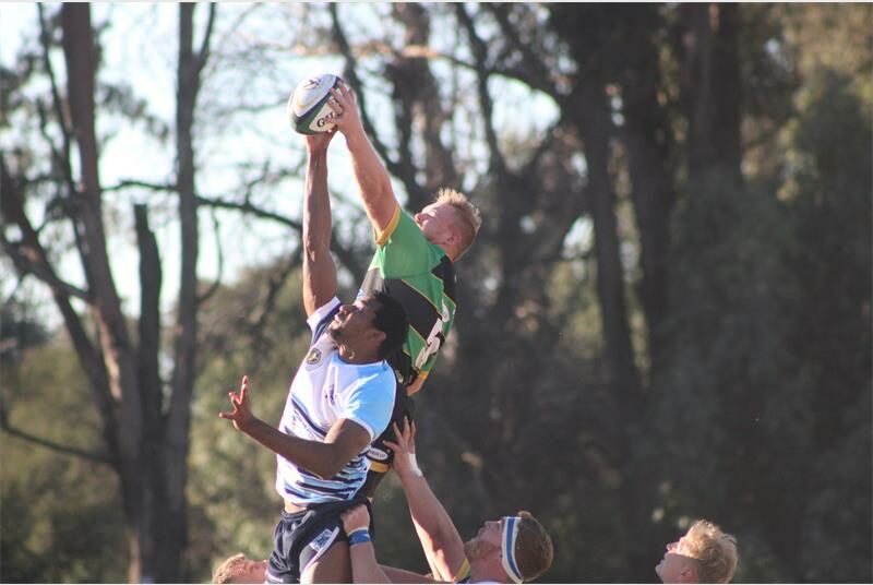 Randfontein Rugby Club delivered strong performances across all teams, but a last-minute penalty saw the first team settle for a draw against Northam Wolves, keeping both sides level at the top of the log.