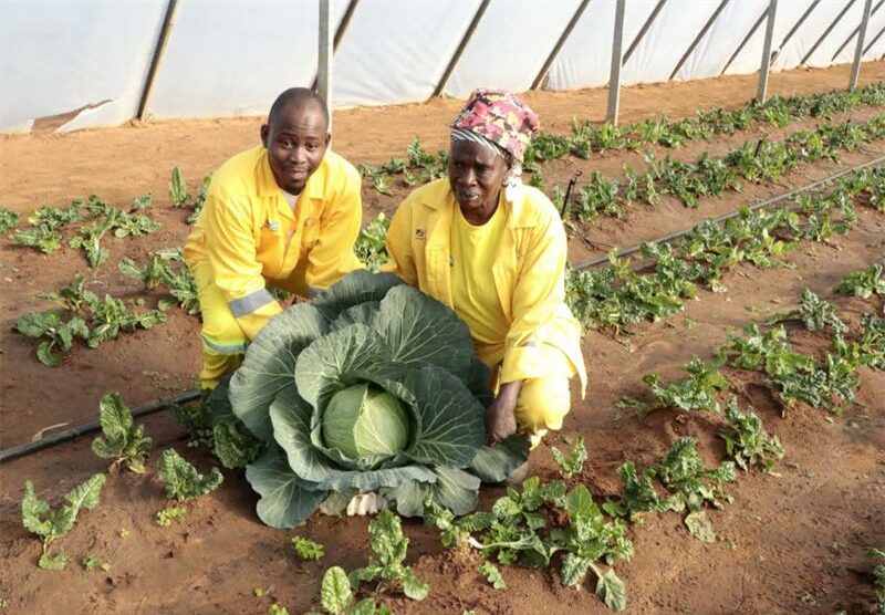 A new community food garden was launched, as well as a borehole, at the Rotanganedza Community Care Centre to help address hunger and water shortages while equipping residents with valuable agricultural skills.