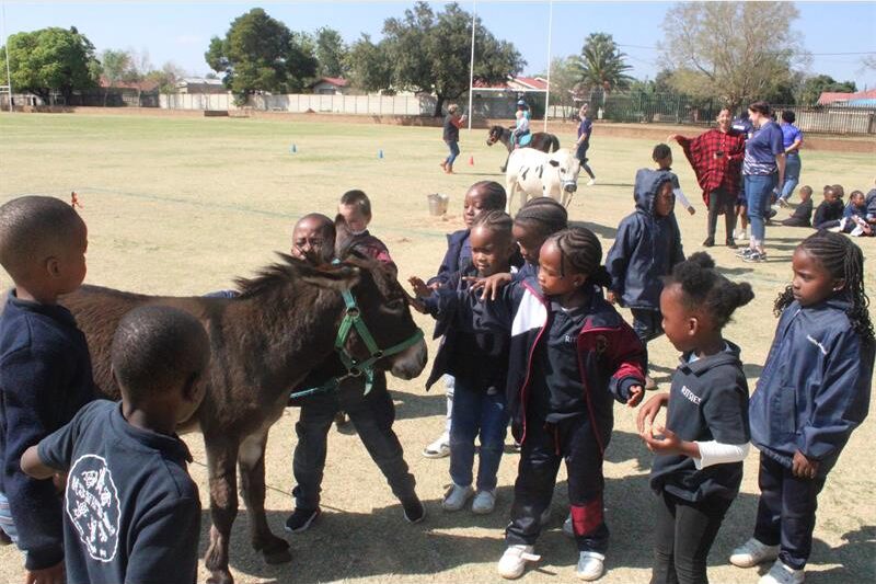 Miniature horse rides and animal feeding sessions gave young learners a memorable taste of farm life outside the classroom.