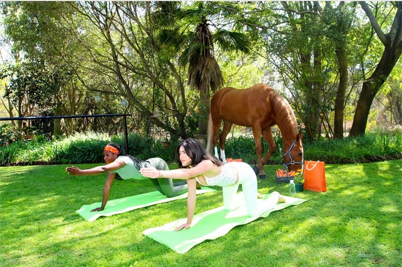 A boutique wellness retreat combining movement, mindfulness and majestic performance horses offers readers a rare chance to unwind in nature.