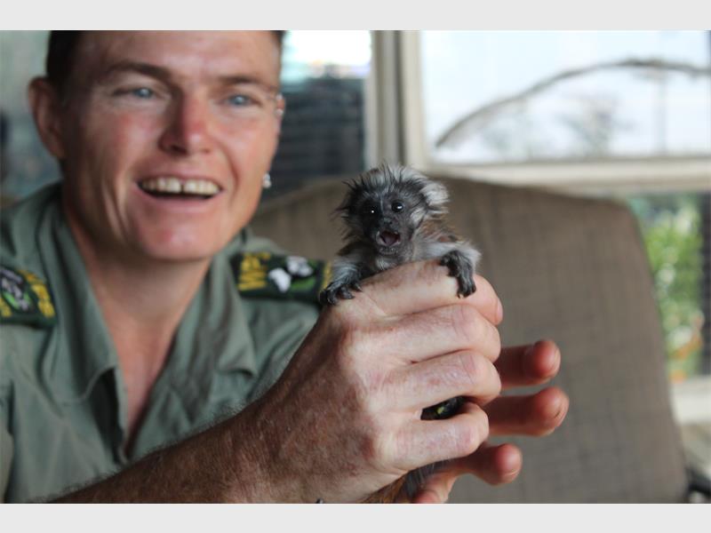 Monkey sanctuary in need of donations Kempton Express