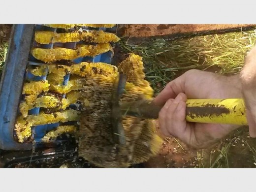 THE hive is being removed.