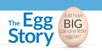 egg1
