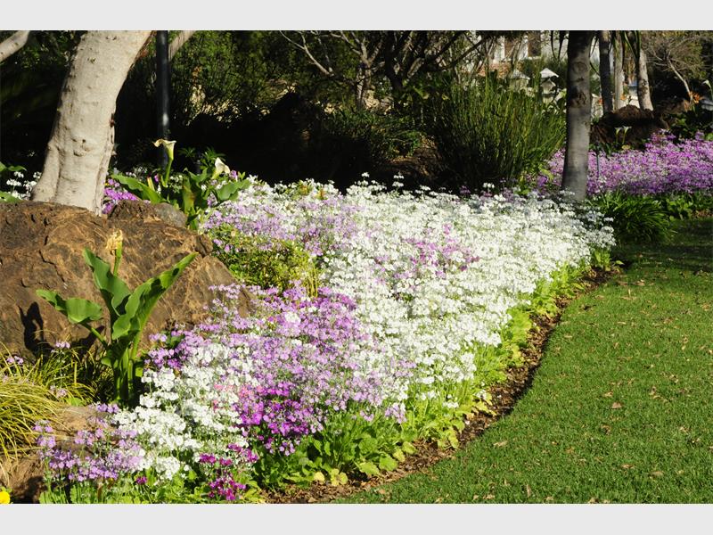 Colourful cool companions for winter | Kempton Express