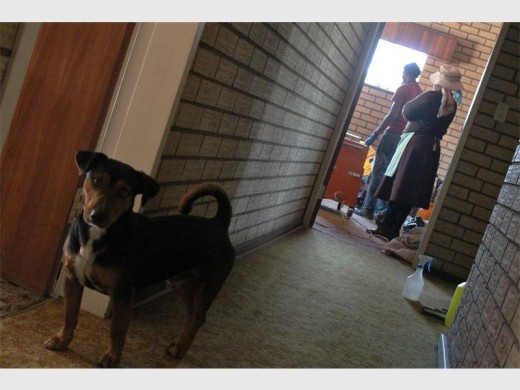 FIVAZ's dog, Sixpence ,stares at the camera with a sad face, as if he knows his friend has left him. Behind him is the room where Fivaz was found by his domestic worker.