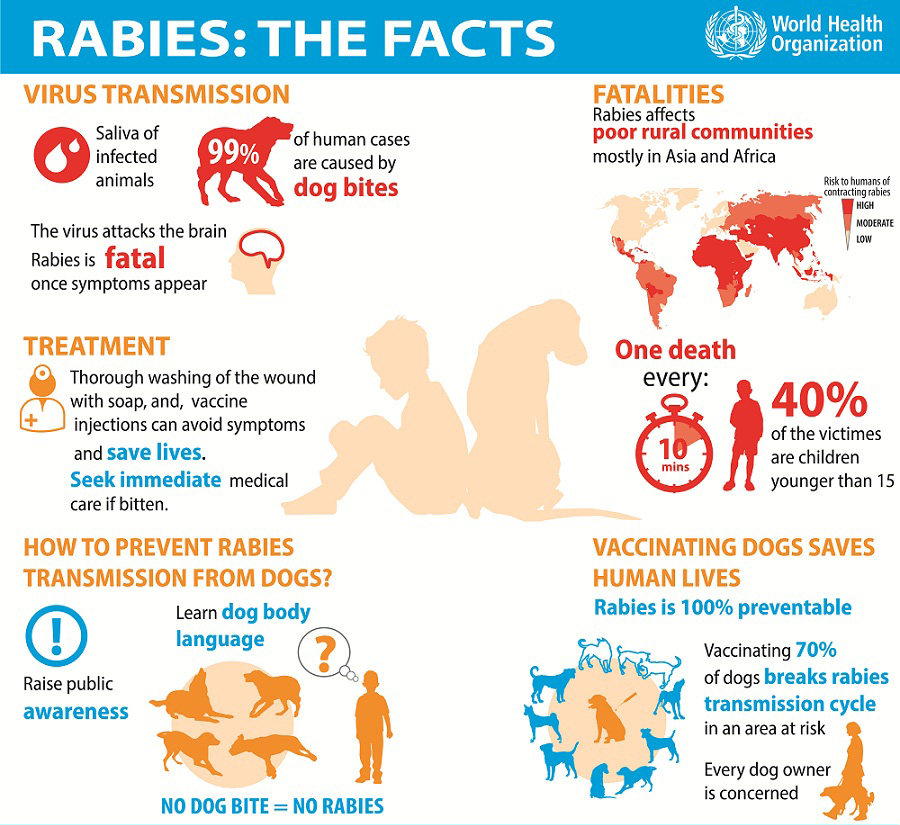 rabies-infographic-2015