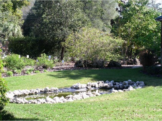garden2_47931