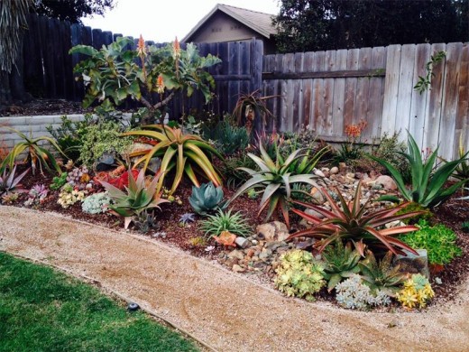 gardenwaterwise1_47881