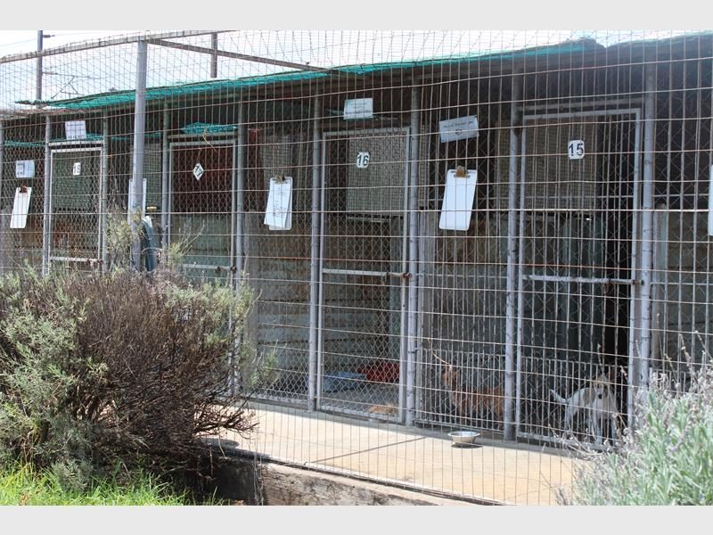 The SPCA has urged the public to refrain from visiting the facility unless absolutely necessary and to follow updates on official platforms.