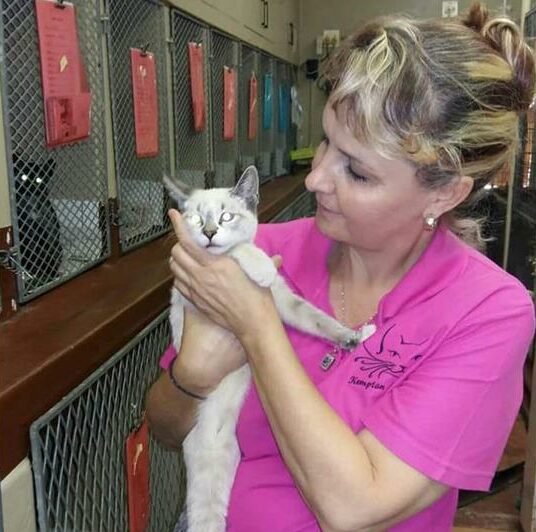 Local artist Sonette van der Merwe invites residents to a creative fundraiser to support Kempton Ferals’ ongoing efforts to trap, sterilise and rehome stray cats.