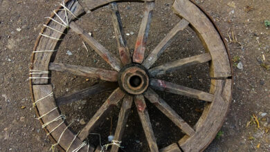 Indian traditional wheel of bullock cart.