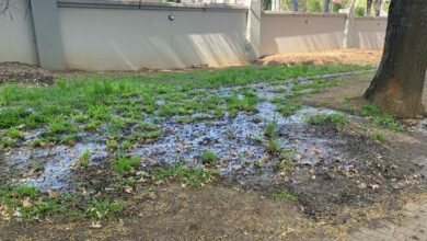 38BEHARDLEAKSL5_34461