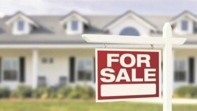 IMG_20221121_115825_90558