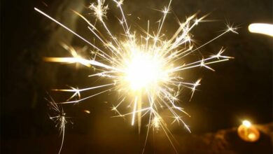 pexels-sonam-yadav-_77285