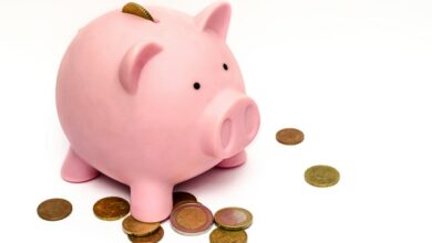 money-pink-coins-pig-9660